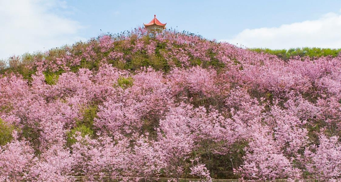 清流县教学基地